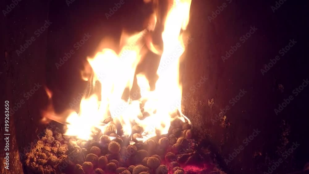 Close up of burning nuts in fireplace 
