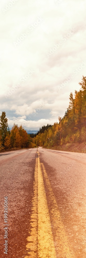 Fototapeta premium Country road passing through autumn forest