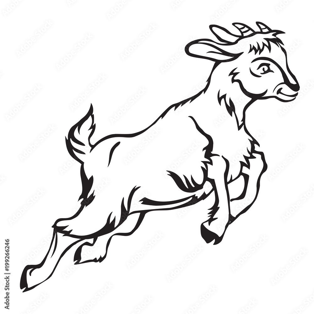 Obraz premium Goat-1