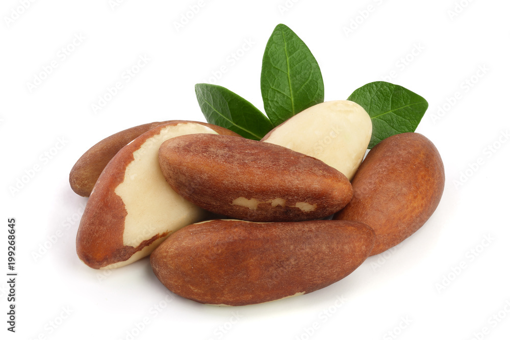 Brazil nuts with leaves isolated on white background closeup. Full depth of field Brazil nuts with leaves isolated on white background closeup. Full depth of field