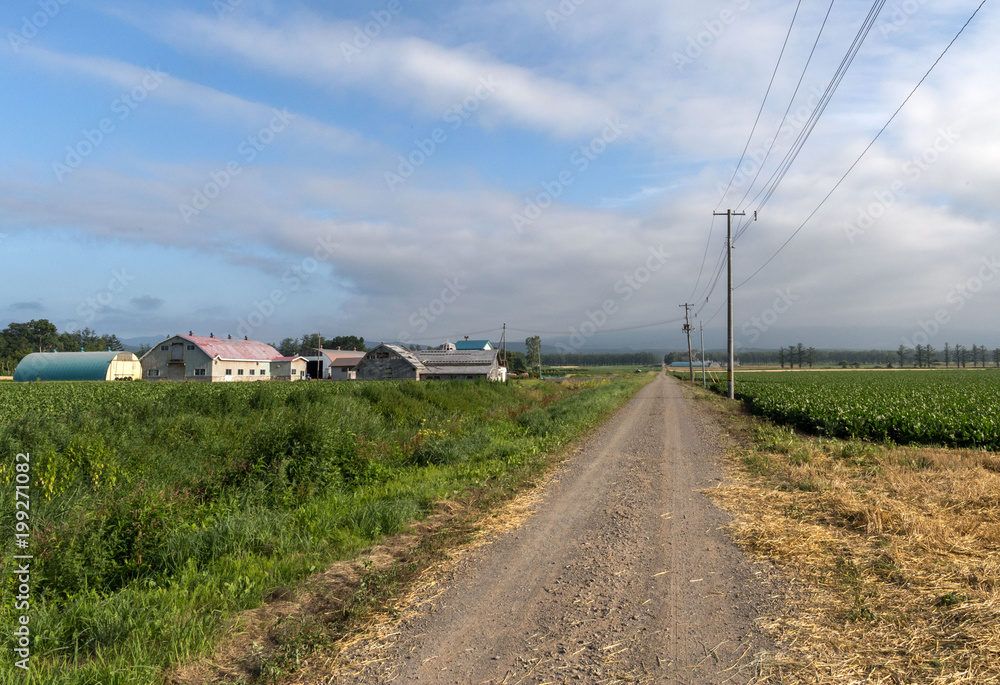Dirt road through rural Hokkaido in late summer
