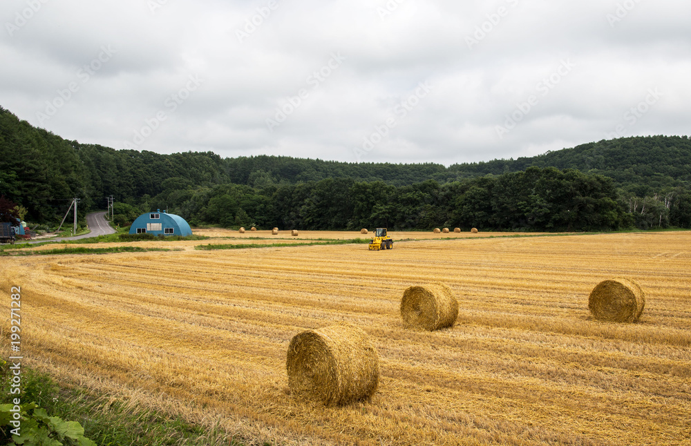 Hay bales sit after harvest in a rural Hokkaido field