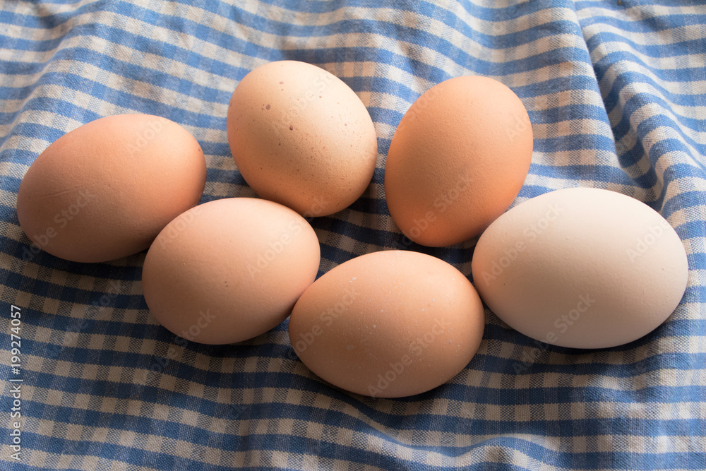 boiled eggs on a blue and white cloth boiled eggs on a blue and white cloth