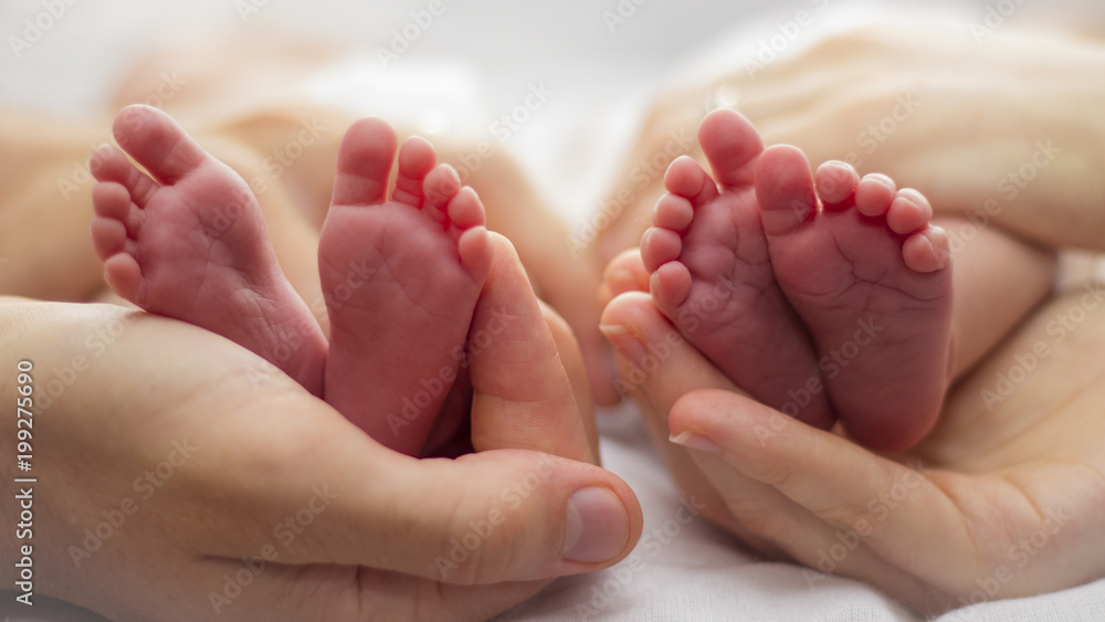 Mother and father's hands cradling twin babies' feet on a pale background. - obrazy, fototapety, plakaty 