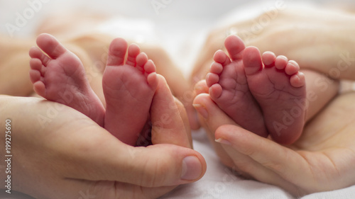 Mother and father's hands cradling twin babies' feet on a pale background. photo