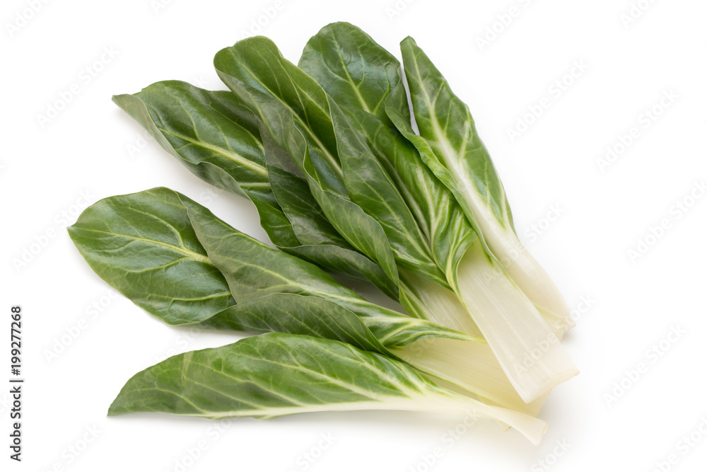 Spinach leaves close up isolated on white. Spinach leaves close up isolated on white.