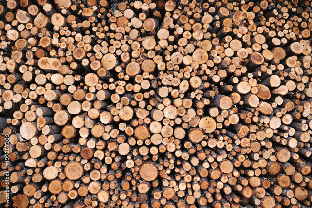 Texture of a pile of big and small tree trunks.
