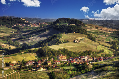 The town of Barolo, with the Falletti castle, among the vineyards, in the center of the area of the homonymous wine. 