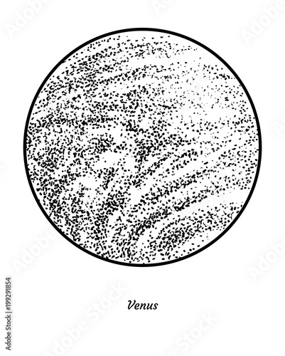 Planet Venus illustration, drawing, engraving, ink, line art, vector