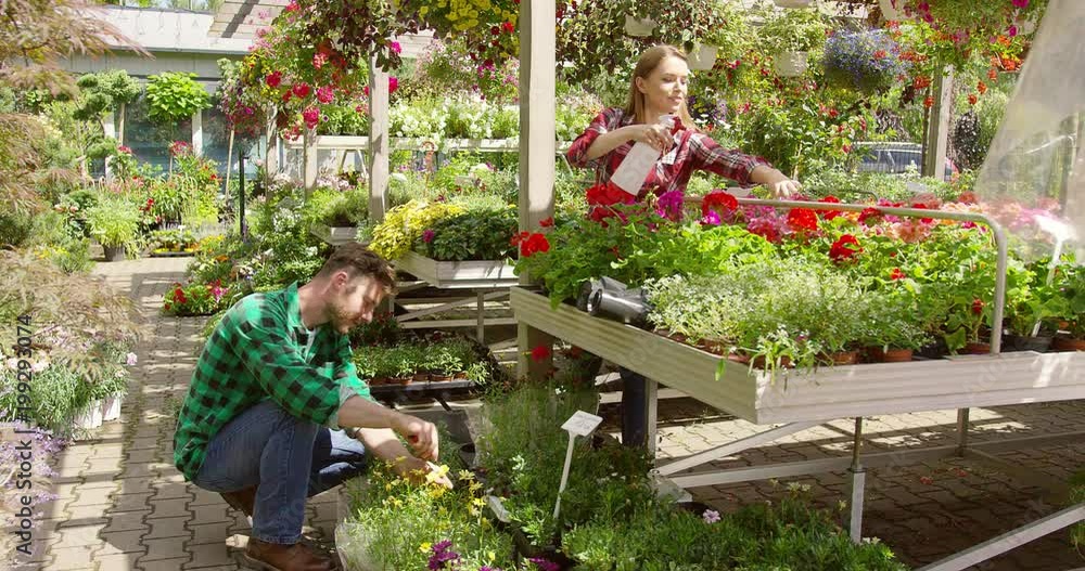 Relaxed woman spraying green blooming flowers working with man in beautiful summer floral market outside. Relaxed woman spraying green blooming flowers working with man in beautiful summer floral market outside.