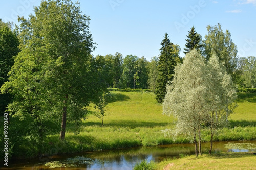 River in the Park in Pavlovsk