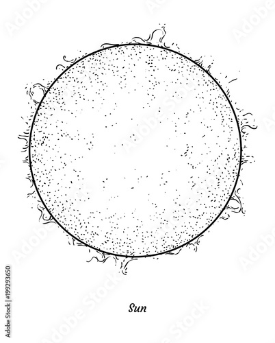 Sun illustration, drawing, engraving, ink, line art, vector