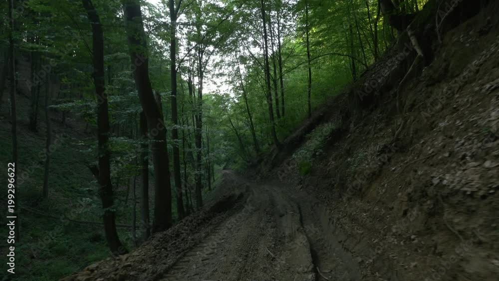 Driving on a muddy road in the forest