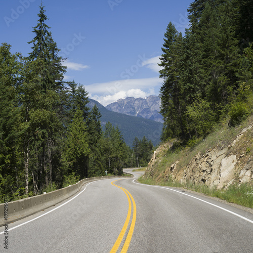 Trees along road, Nelson, British Columbia, Canada