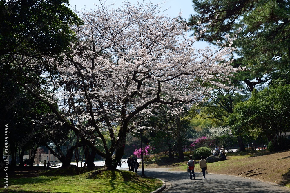 別府公園