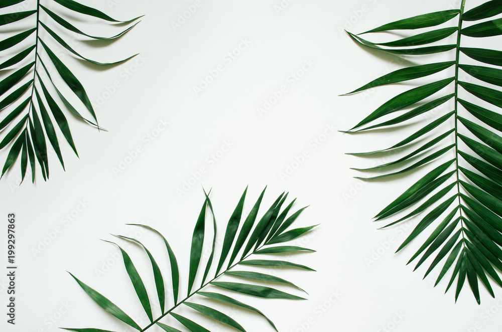 Fototapeta premium Green flat lay tropical palm leaf branches on white background. Room for text, copy, lettering.