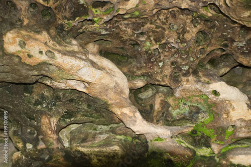 Cave stone with green mold.