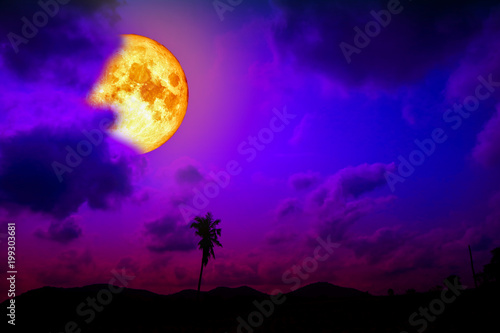 blood moon back cloud silhouette coconut in the night blue sky