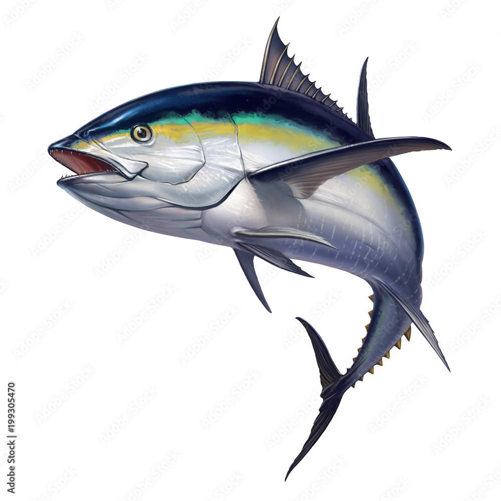 Fototapeta premium black fin tuna 