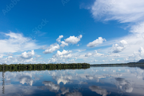 Beautiful reflection of blue sky and clouds in the waters of the Negro River with rainforest in the background.