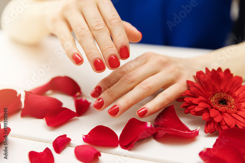 woman hands with manicured nails and red rose petals