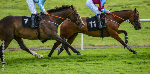 Two race horses competing on the the track