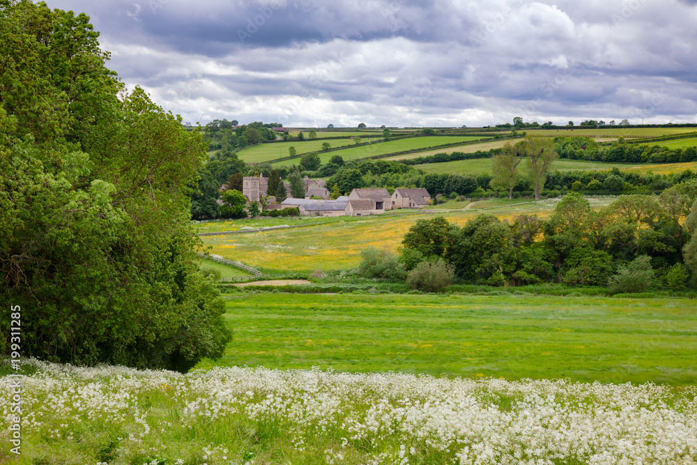 Summer rural landscape Southern England UK - obrazy, fototapety, plakaty 