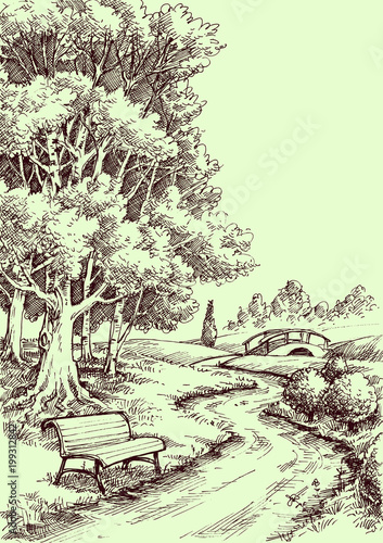 A bench in the park drawing. Peaceful landscape