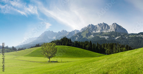 Fototapeta Naklejka Na Ścianę i Meble -  Sommer in den österreichischen Bergen - Wilder Kaiser, Tirol, Austria

