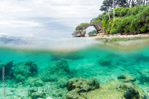 Photography Split view over and under sea surface with lush tropical shore above waterline