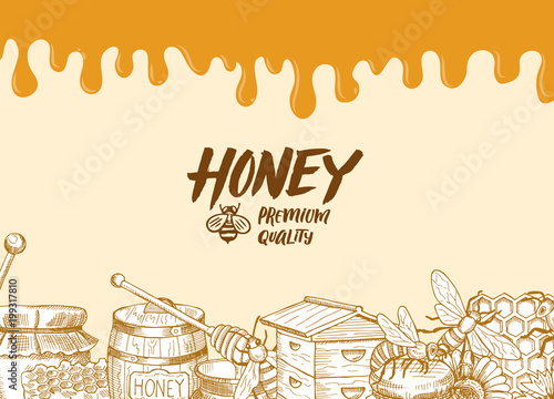 Vector background with sketched honey elements, dripping honey