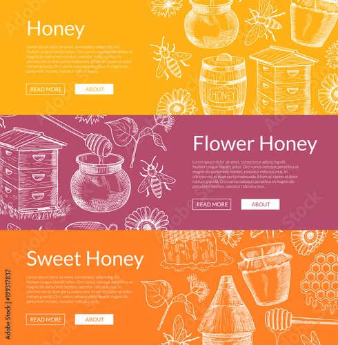 Vector web banners illustration with hand drawn honey elements