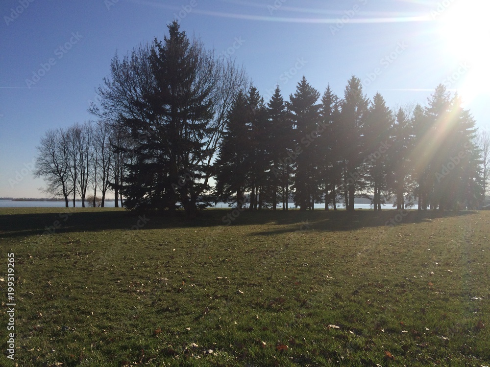 Obraz premium Nature