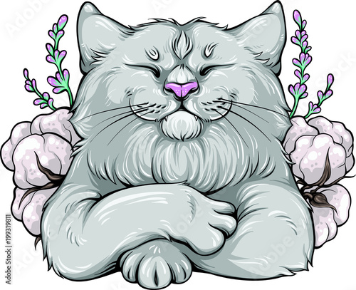 Soft cat. Vector illustration