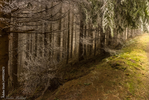 On the Top of the ,Rammelsberg-mountain n early spring