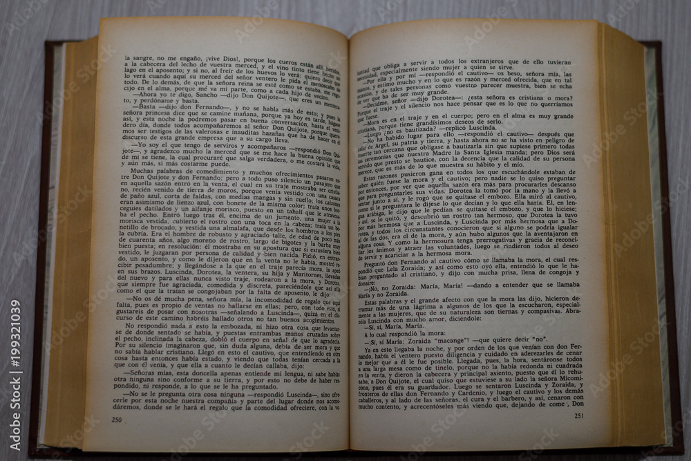 Obraz premium ancient book close up