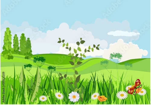 Vector illustration of spring green meadow and hills  flowers  grass and butterflies in pretty landscape