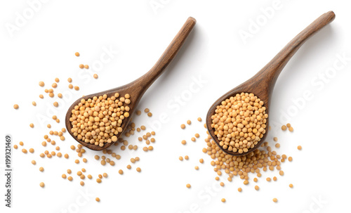 Obraz na płótnie yellow mustard seeds in the wooden spoon, isolated on white, top view