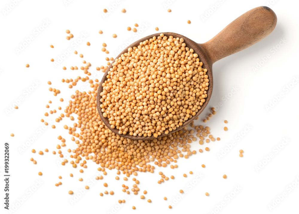 yellow mustard seeds in the wooden spoon, isolated on white, top view yellow mustard seeds in the wooden spoon, isolated on white, top view