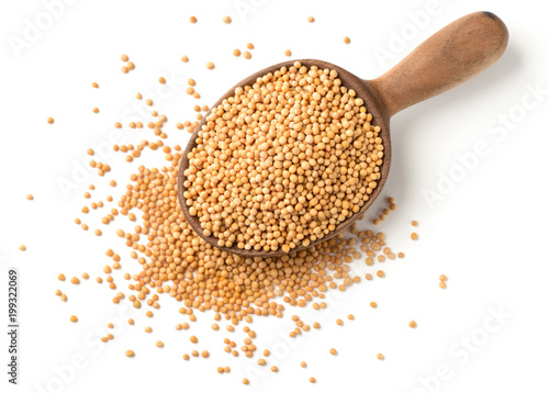 Obraz na plátně yellow mustard seeds in the wooden spoon, isolated on white, top view