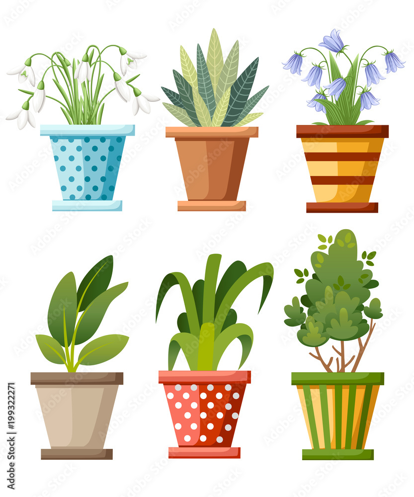Obraz premium Indoor and outdoor landscape garden potted plants. Vector set of green plant in pot, illustration of flowerpot bloom. Vector illustration isolated on white background. Web site page and mobile app