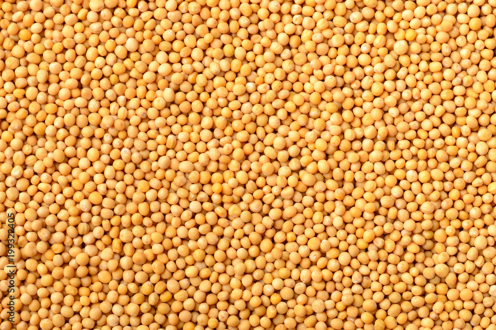 food background of yellow mustard seeds, top view food background of yellow mustard seeds, top view