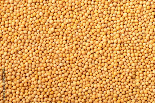 food background of yellow mustard seeds  top view