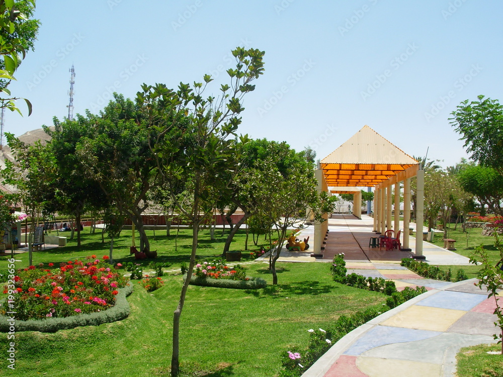 Jardin en Moquegua Perú