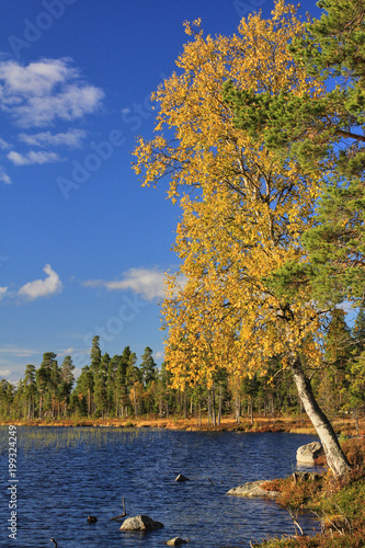 Norwegian lake Femunden, Norway, Femundsmark N.P. photo