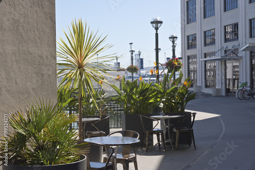 Outdoor plants and seating area San Francisco California.