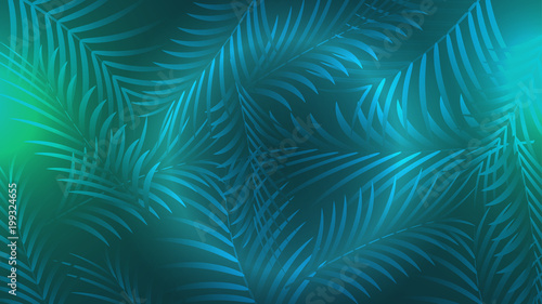 Exotic Palm Leaves  Summer Tropical Design Flyer - Vector Illustration.