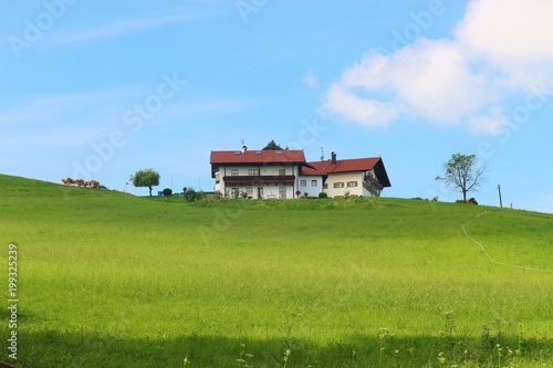 Idyllic countryside in Bavaria, Germany, Europe. Mountain pasture, house and cattle. Near Ainring, Berchtesgadener Land. 