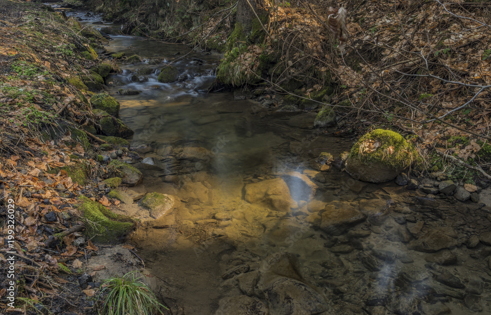 Pulcinsky creek in spring nice morning Pulcinsky creek in spring nice morning