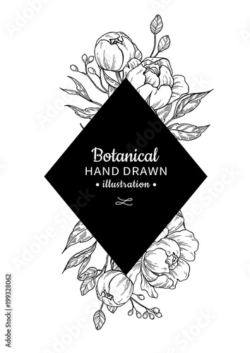 Vintage flower vector frame drawing. Peony, rose, leaves and ber